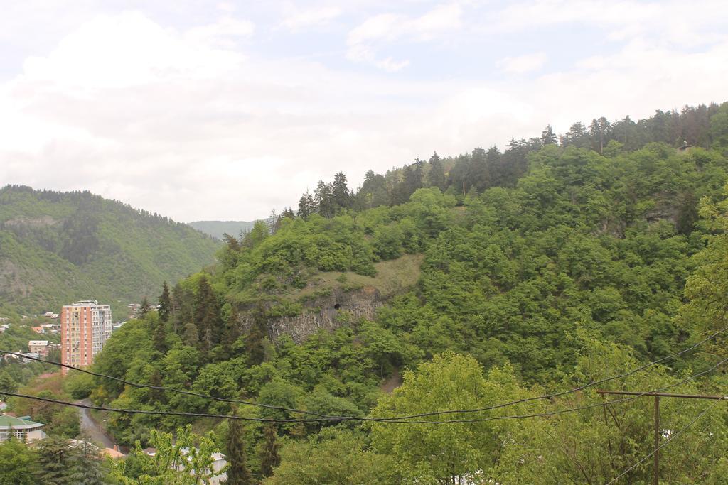 Anastasia Guesthouse Bordżomi Zewnętrze zdjęcie